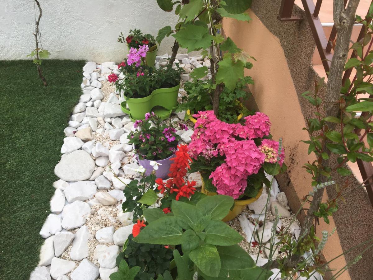 טרוגיר Apartments Ljiljana מראה חיצוני תמונה